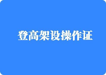 肏屄网站网址在线免费观看大全登高架设操作证